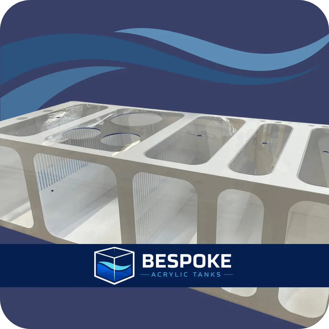 bespoke-acrylic-tank-solutions